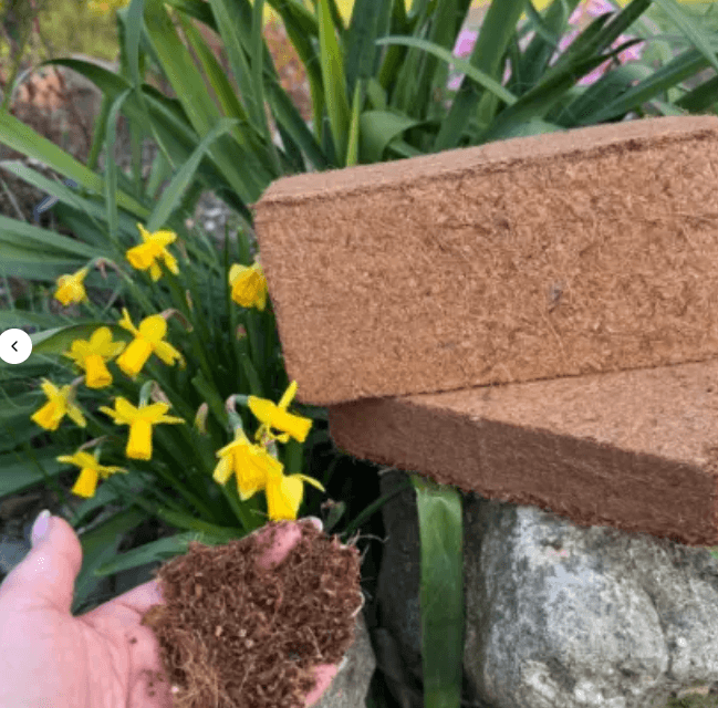 CocoVanta – profesjonalne podłoże dla Twoich upraw